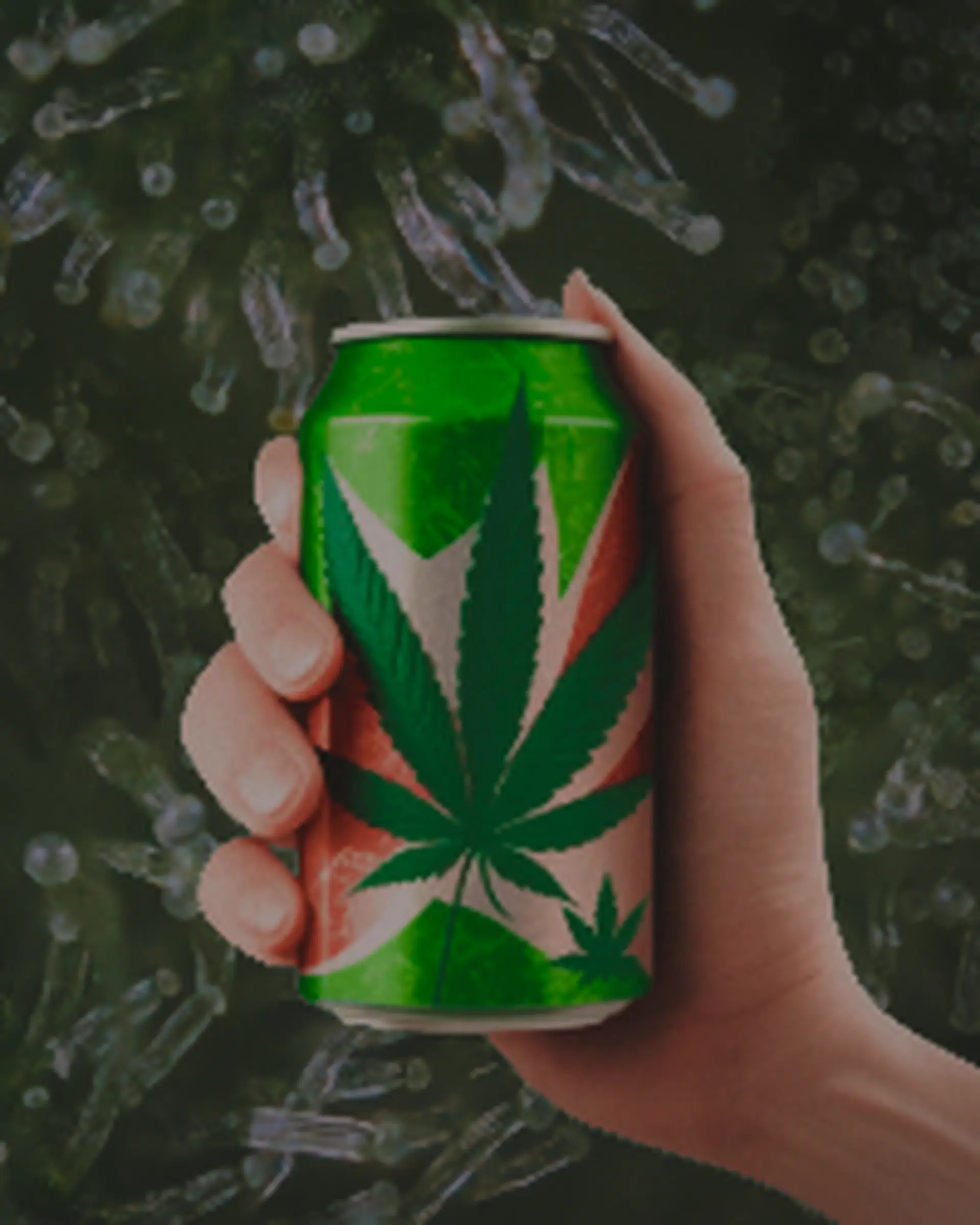 hand holding thc cbd infused beverage for kindling cannabis 1 hour delivery
