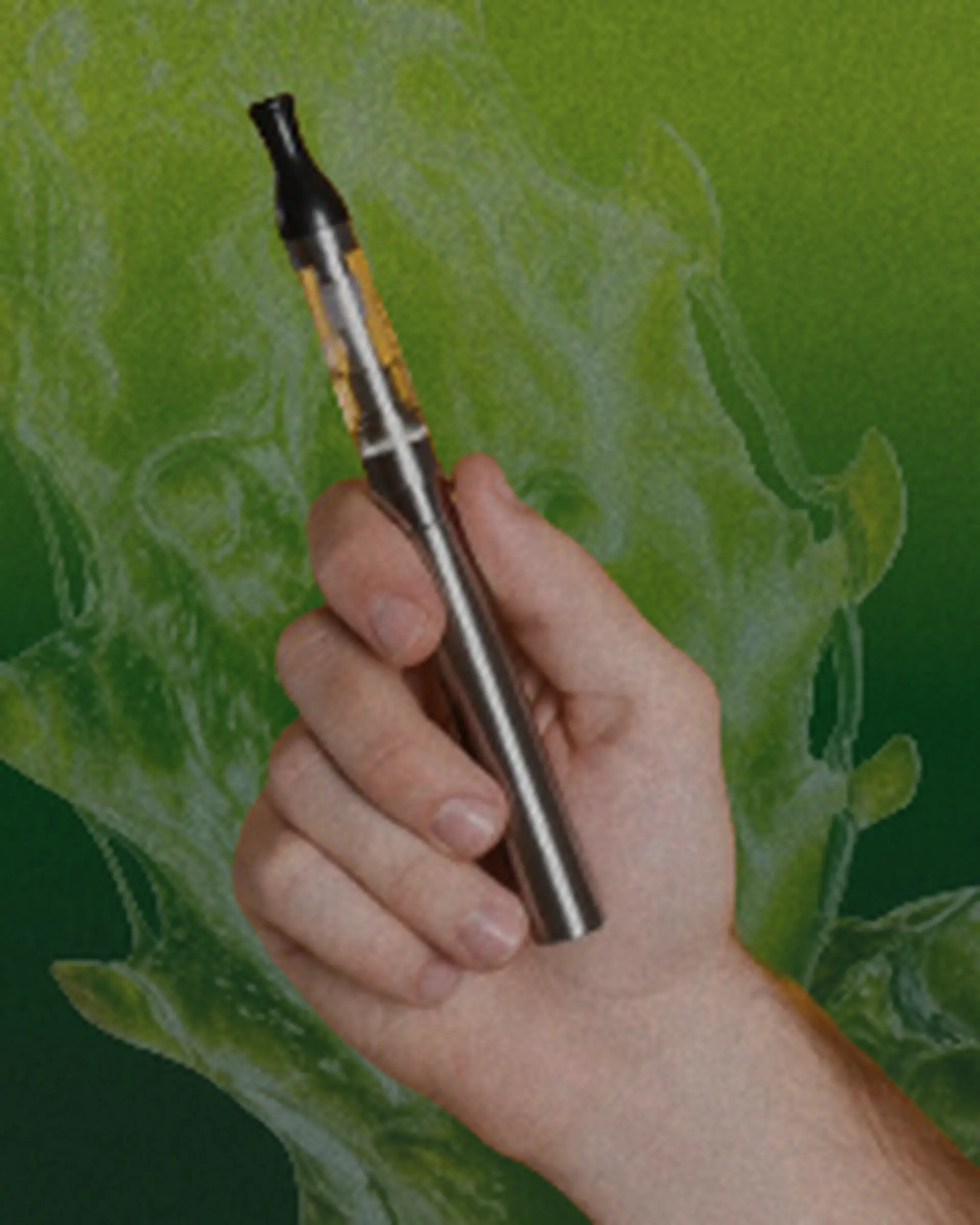kindling cannabis 1 hour free delivery categories