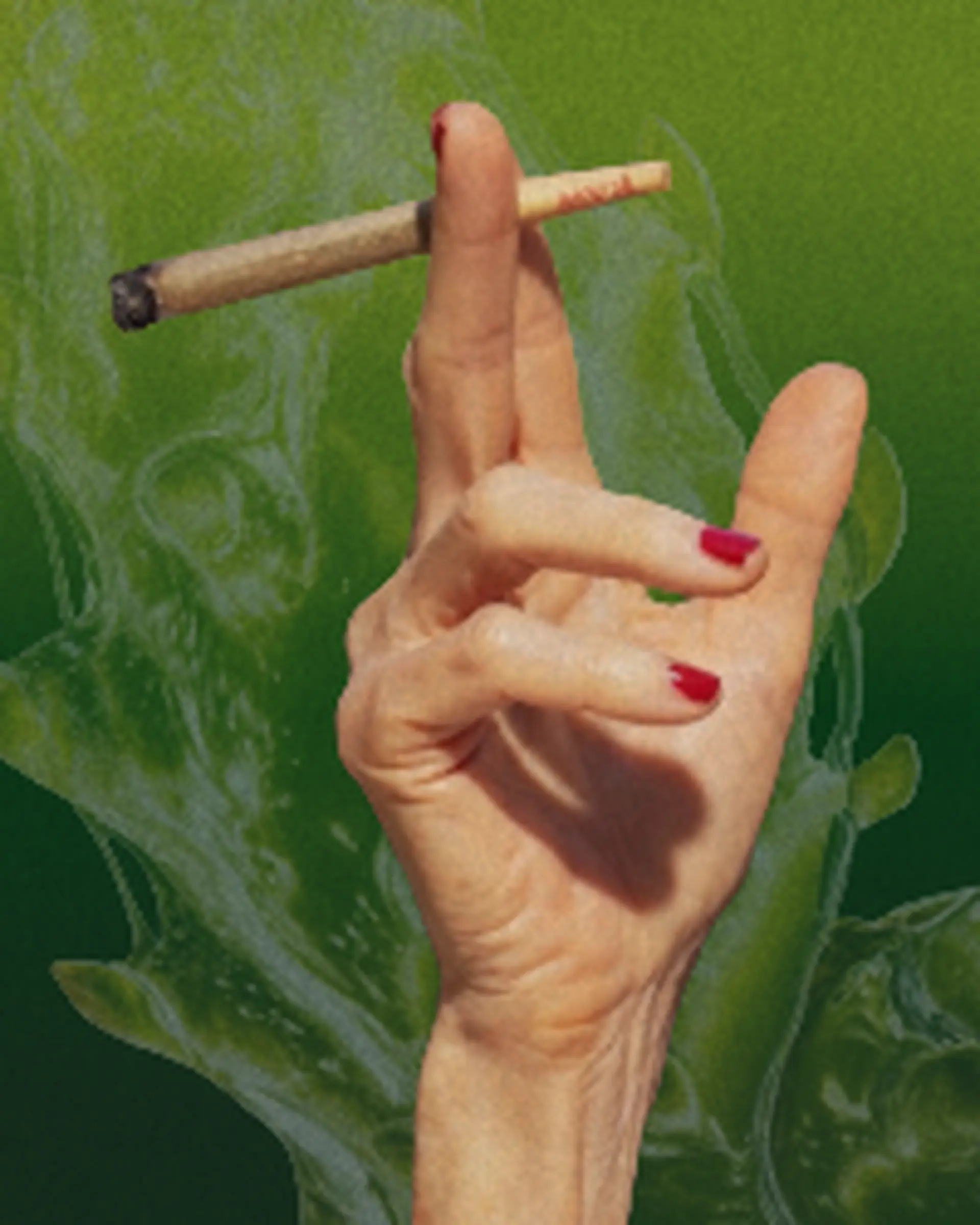 kindling cannabis 1 hour free delivery categories