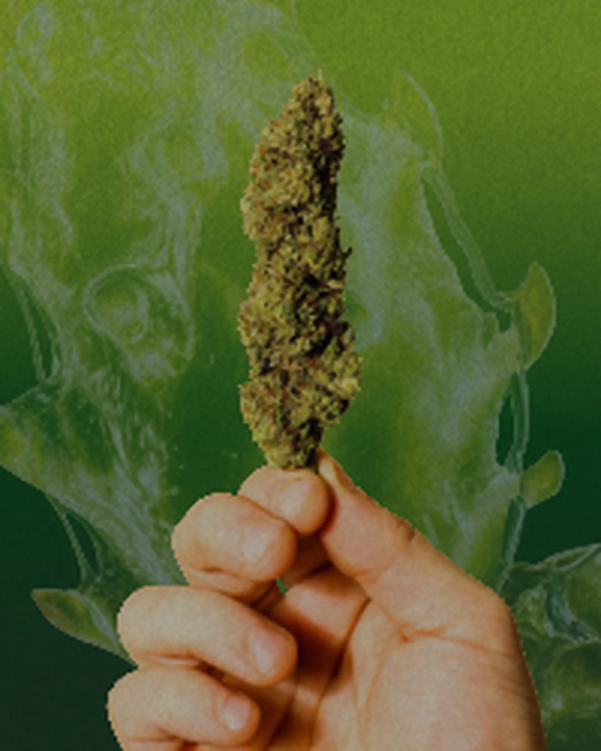 kindling cannabis 1 hour free delivery categories
