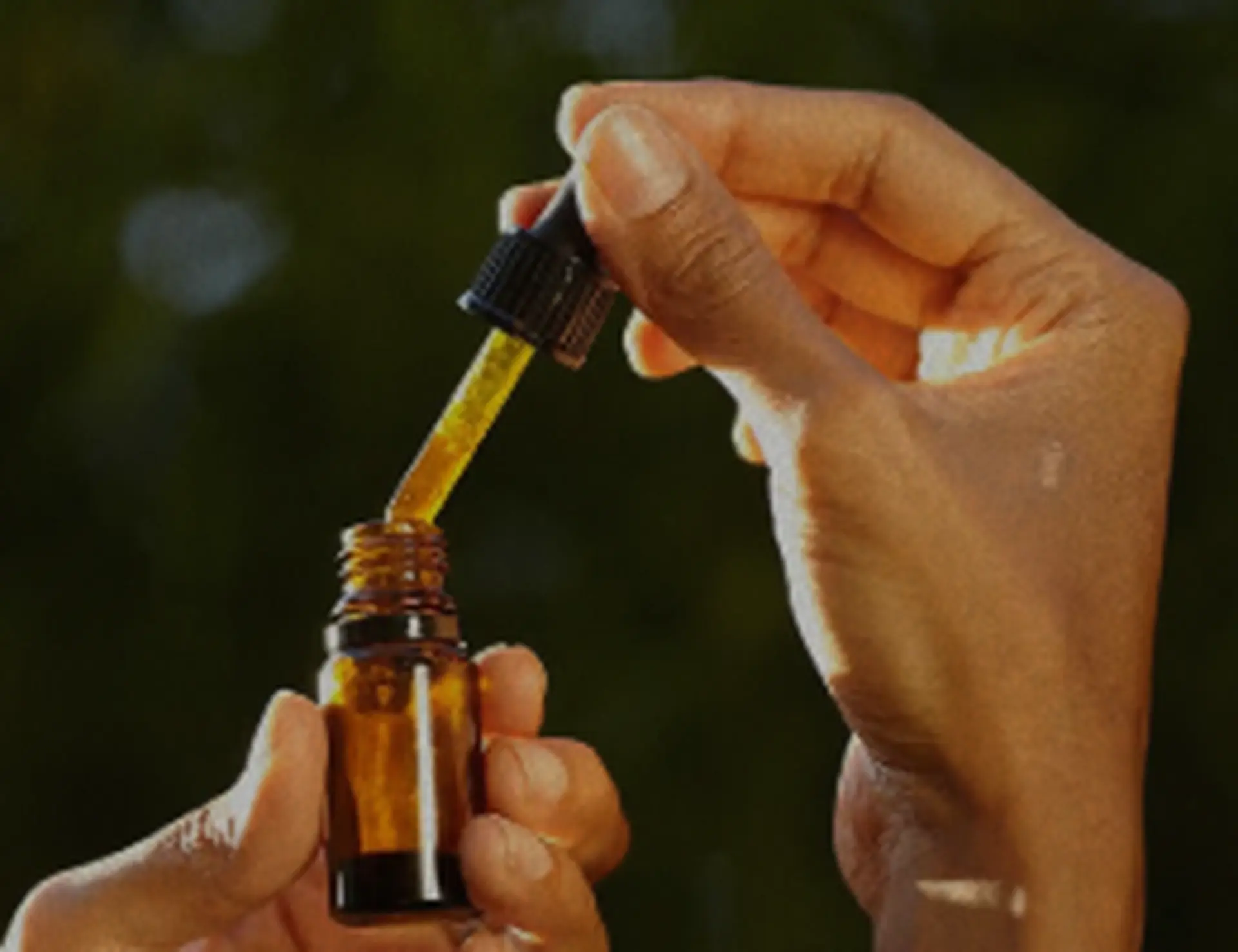 hand holding extract cbn cbd for kindling cannabis 1 hour delivery
