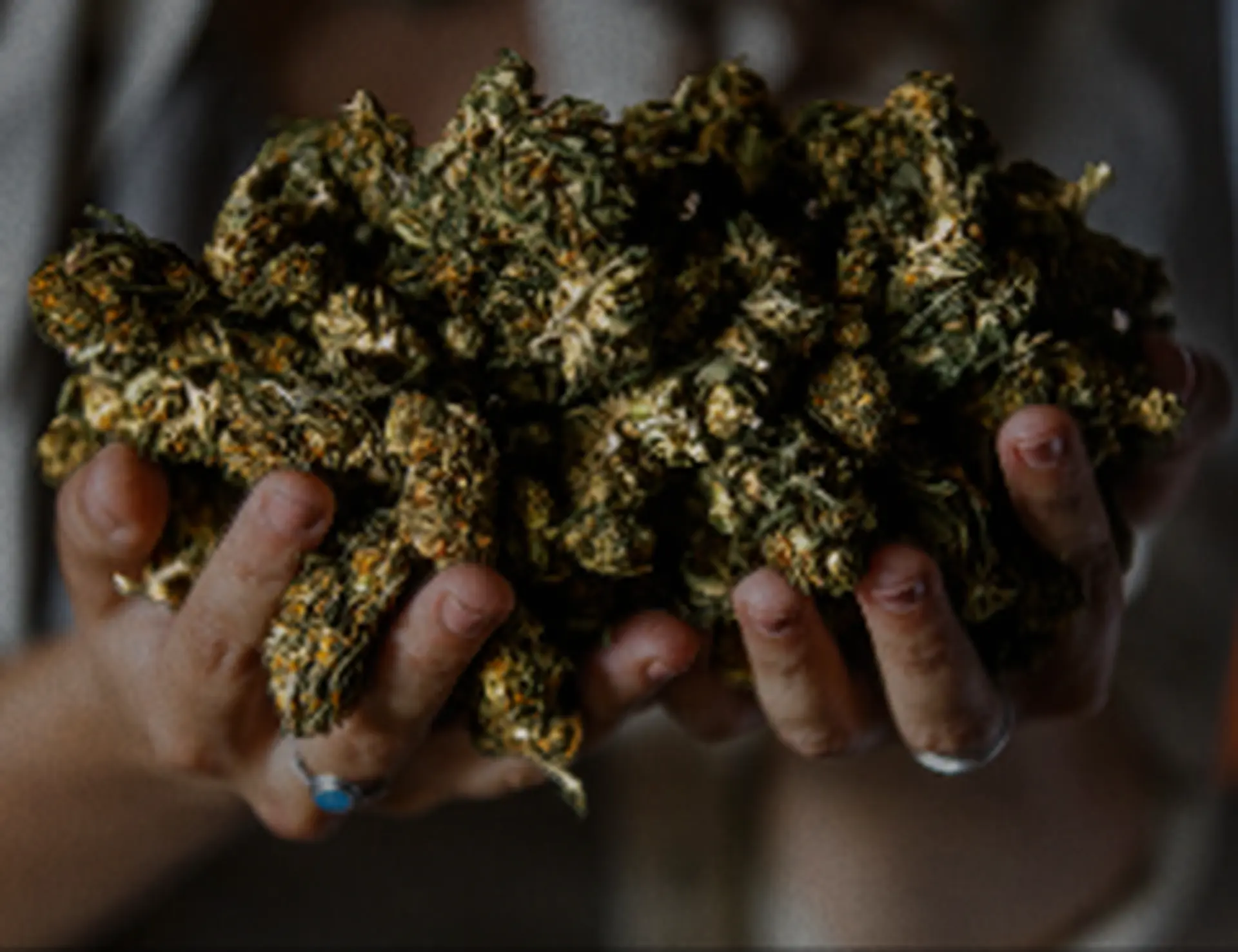 hand holding weed flower for kindling cannabis 1 hour delivery