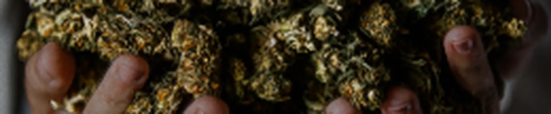 Cannabis Store Menus by Location