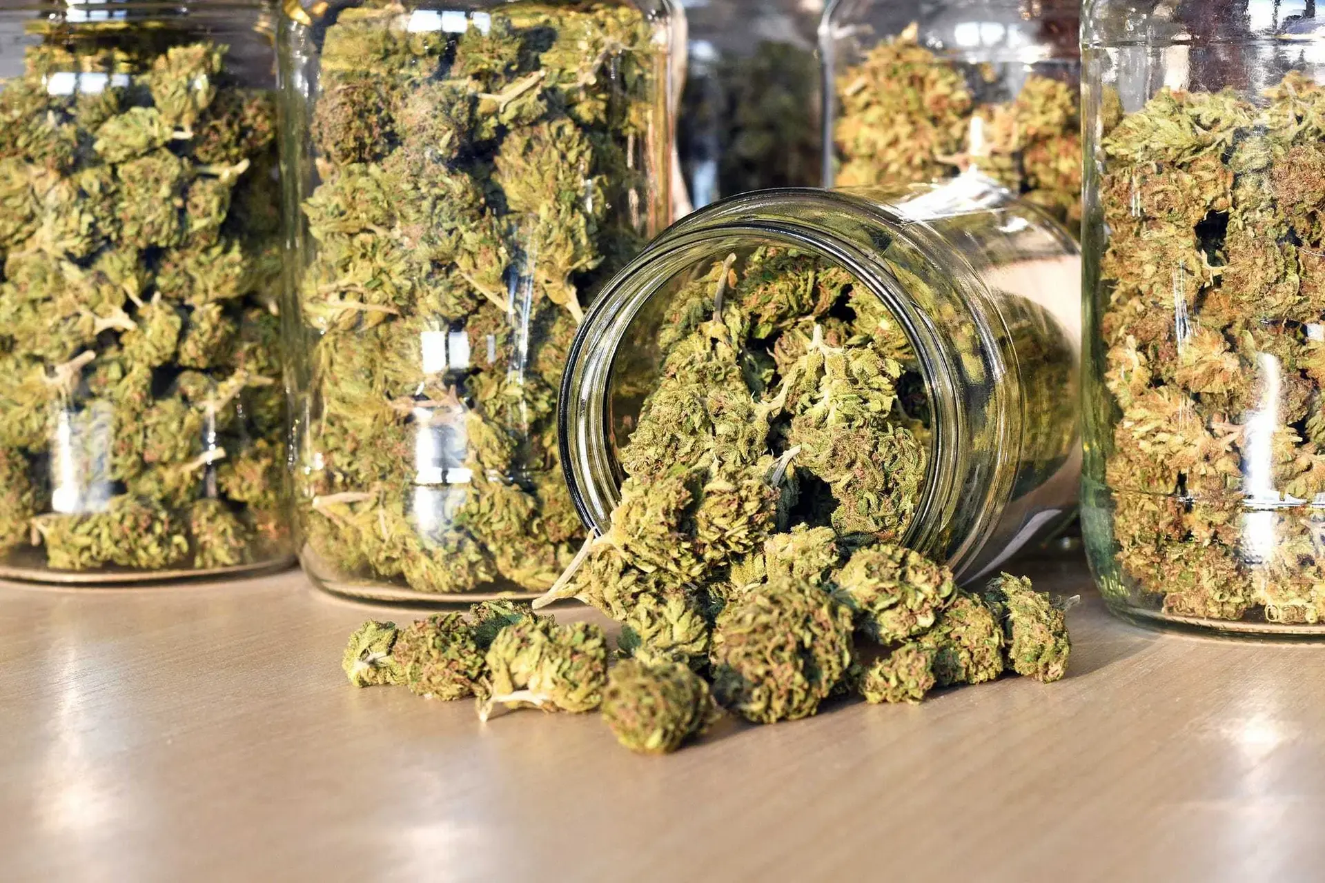 Exploring the Best Organic Strains: A Natural High