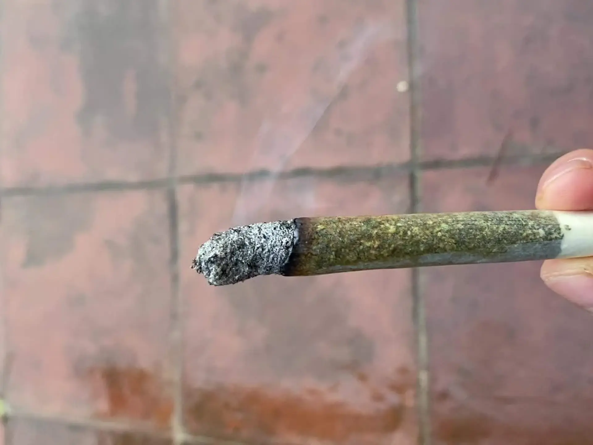 Does White Ash Actually Matter?
