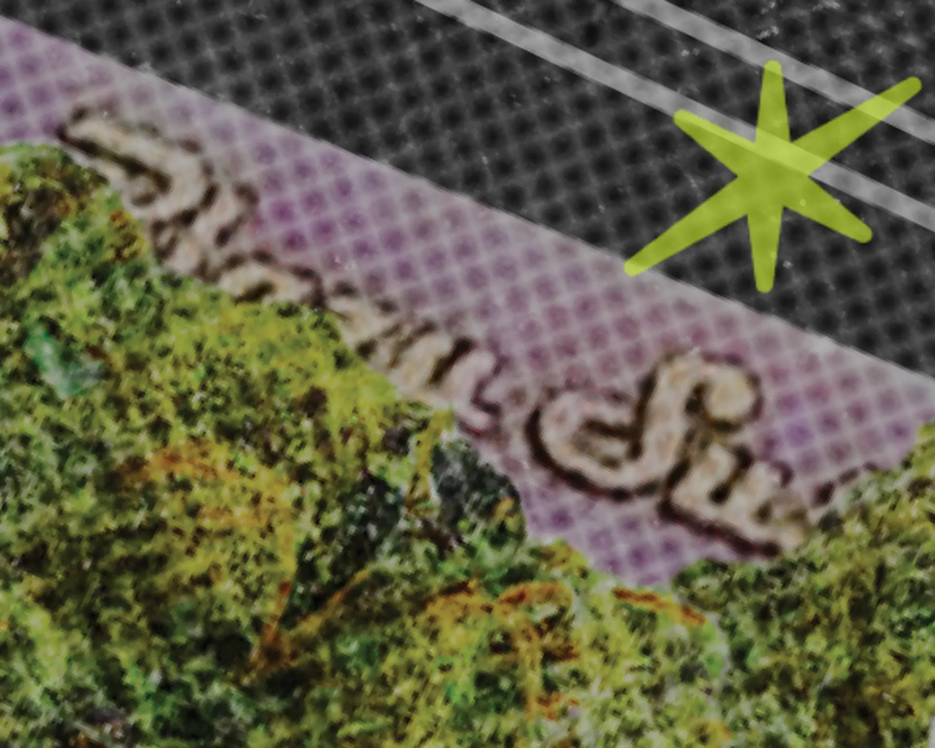 Image of Explore Ounces