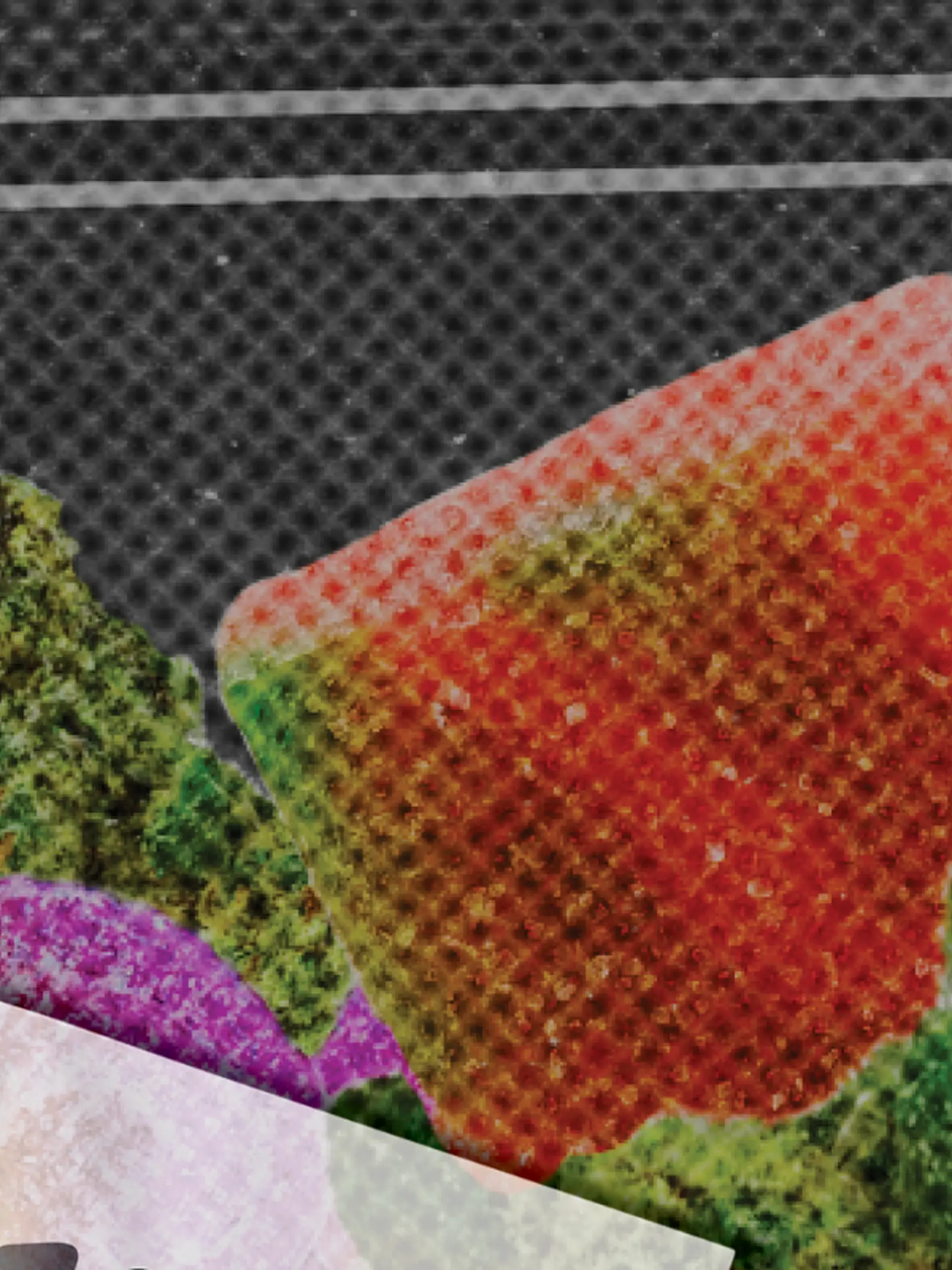 cannabis THC gummies delivered in 1 hour