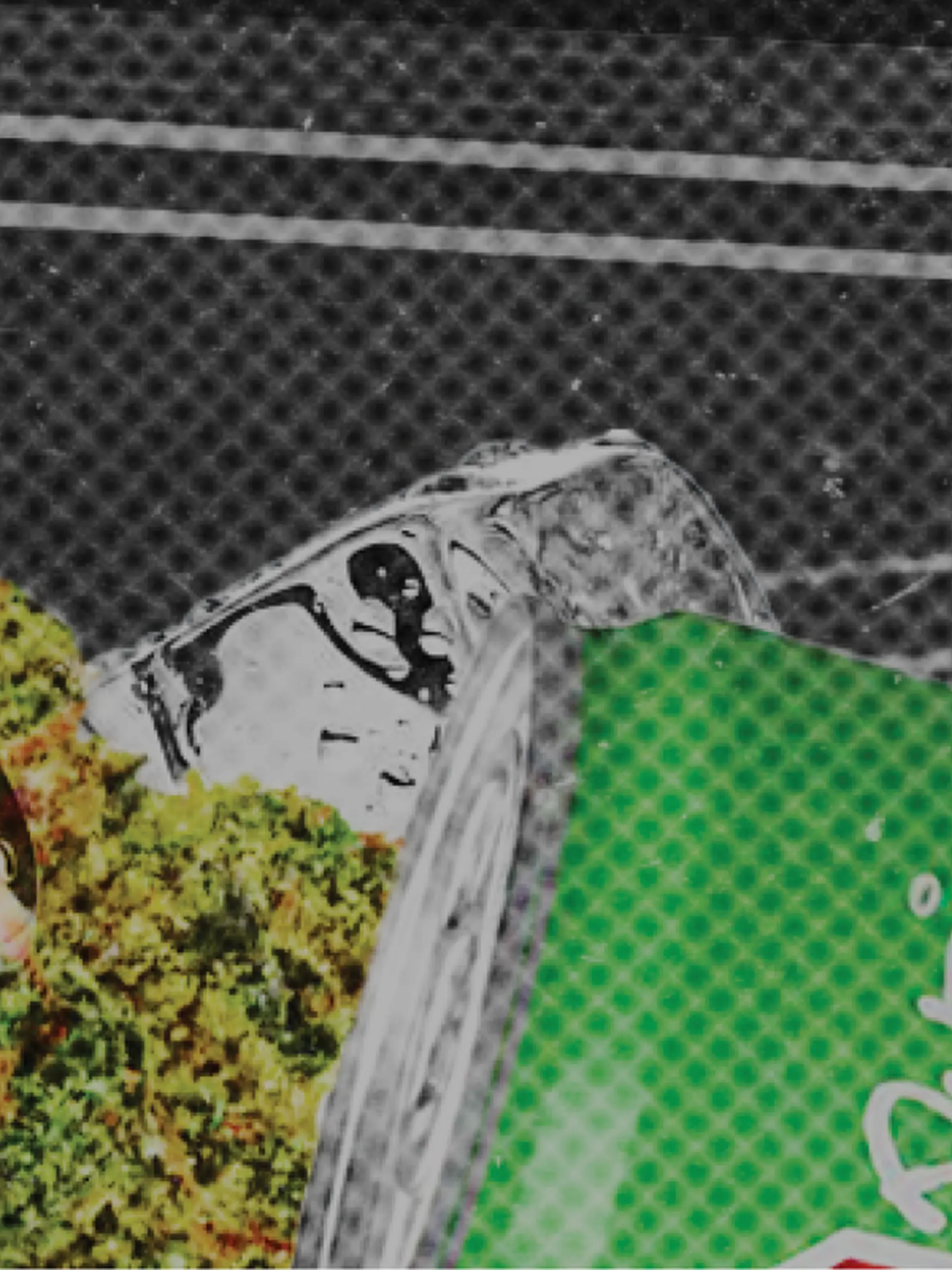 Cannabis beverages delivered in under one hour