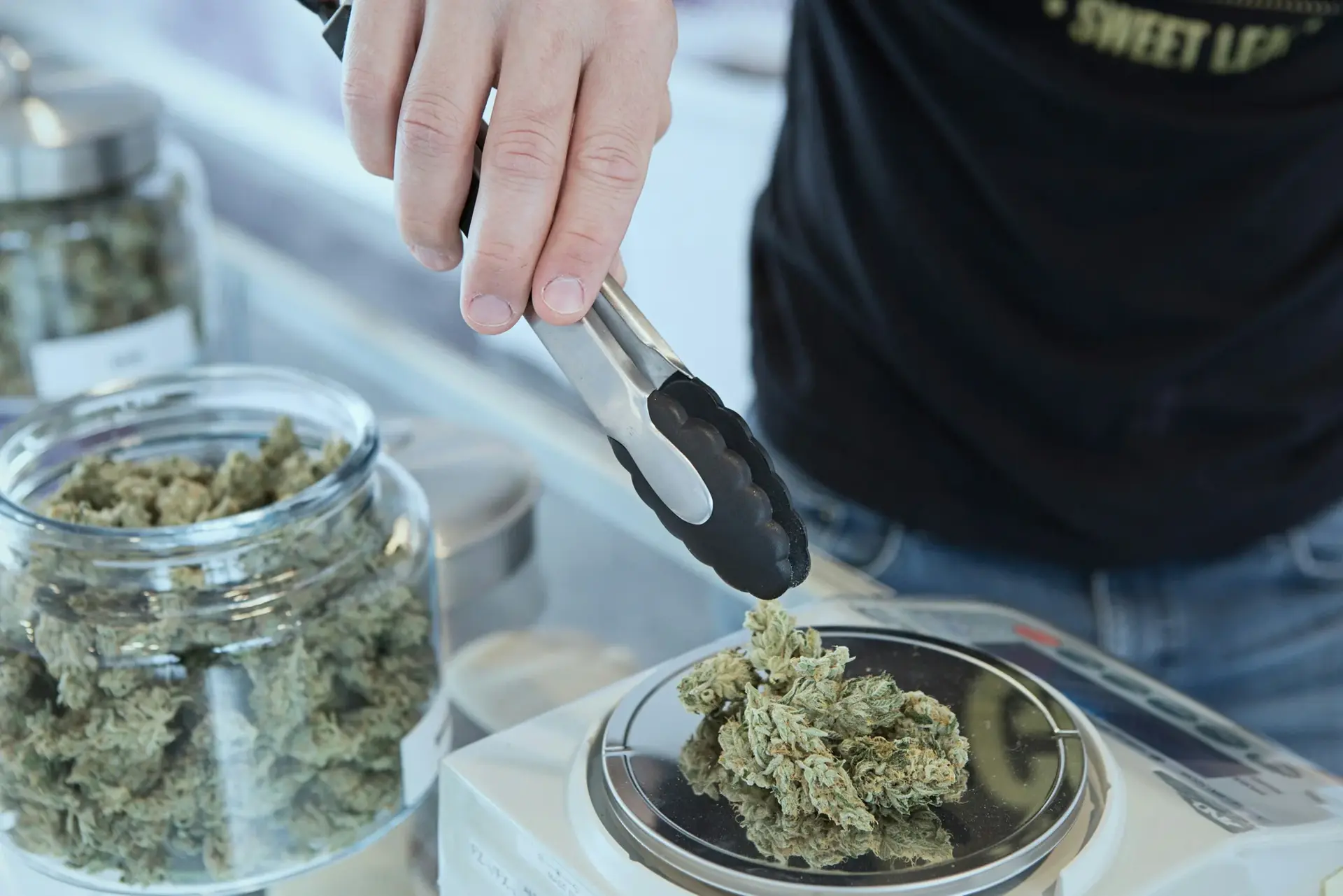 Canada Has Destroyed Almost 4 Million Pounds Of Cannabis Since Legalization