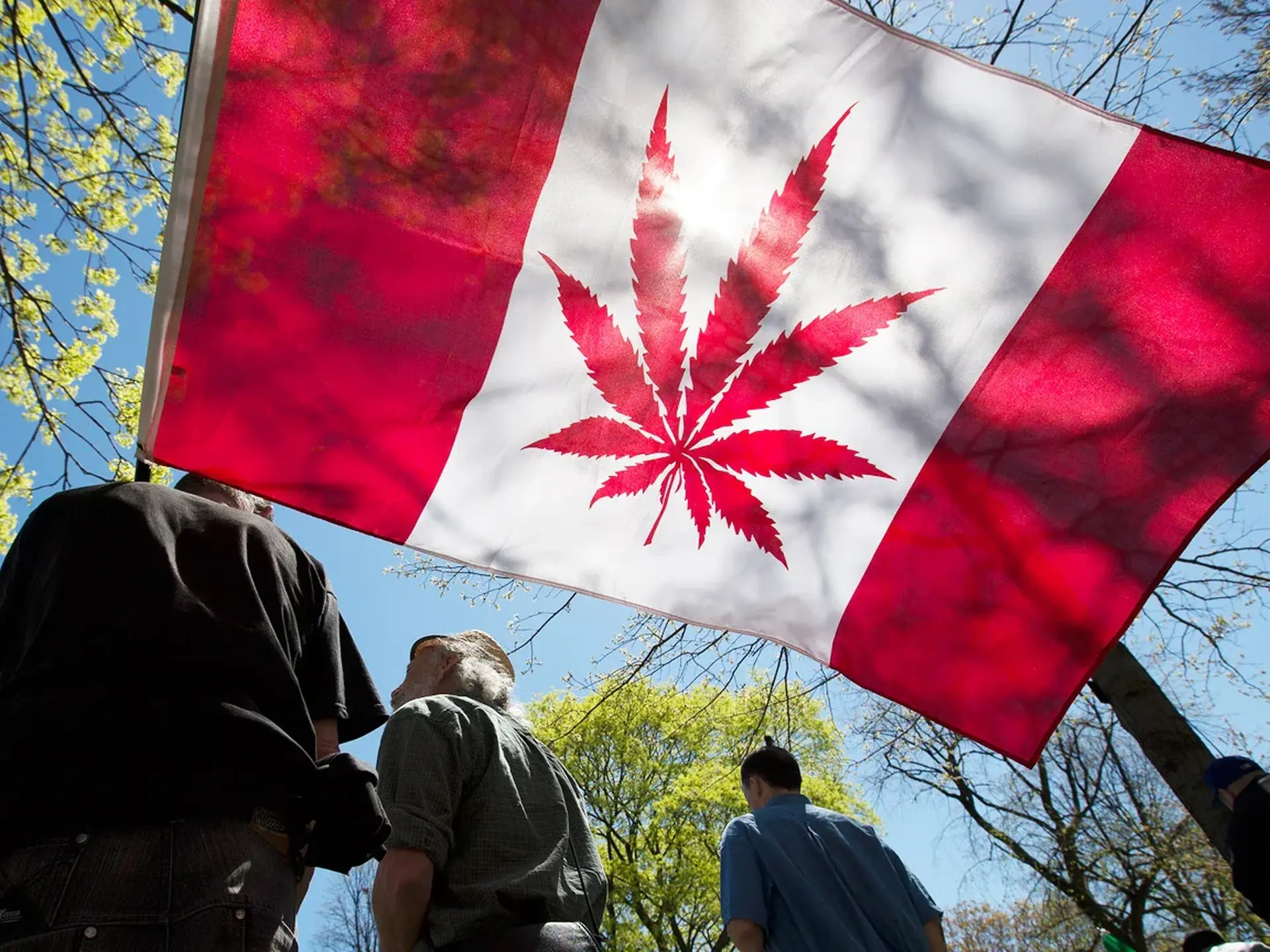 Comparing Cannabis Laws Across Canadian Provinces