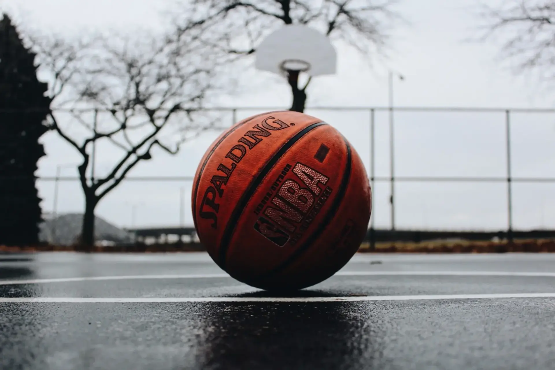 Top 5 Basketball Courts in Toronto
