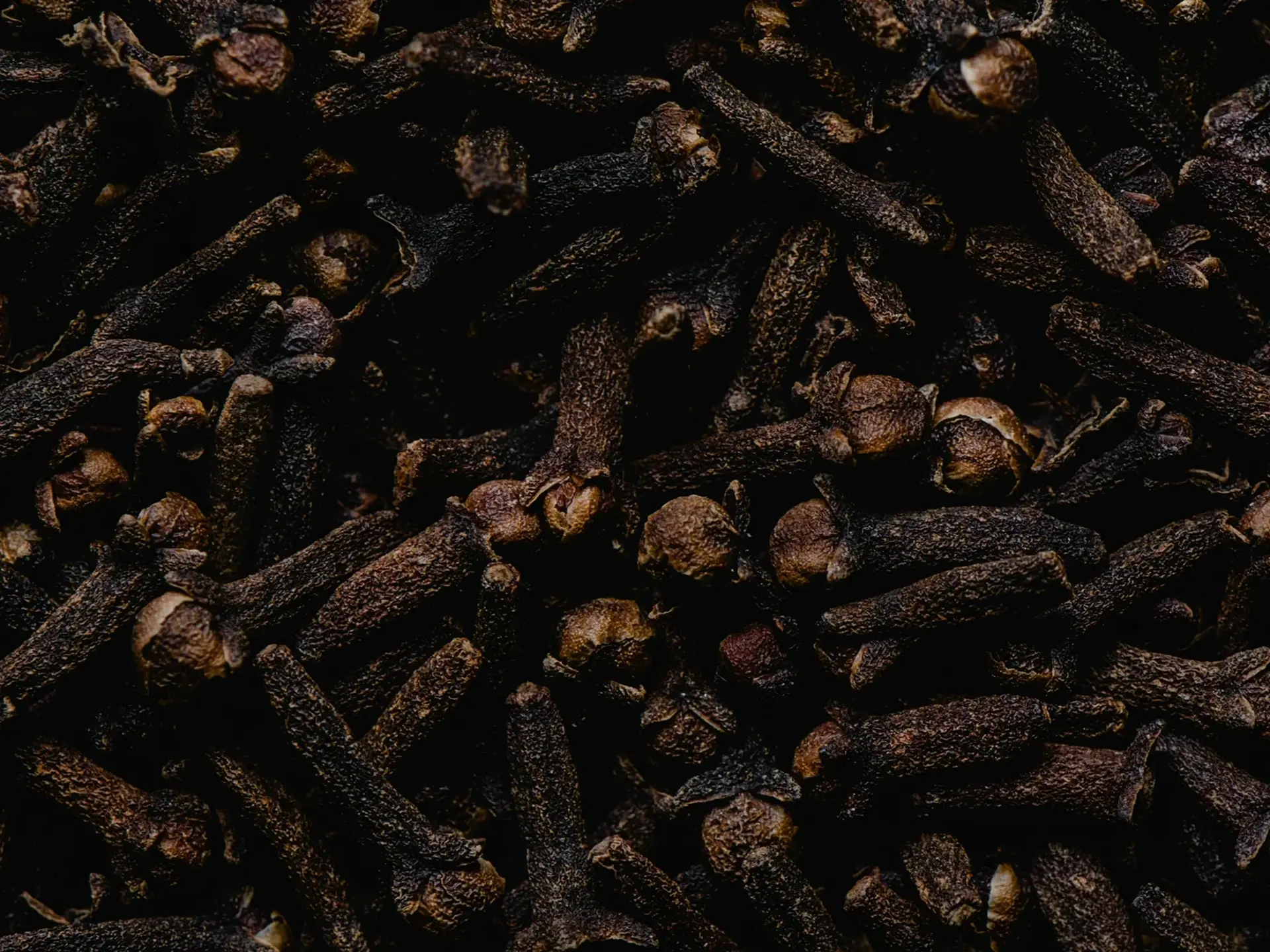 Caryophyllene Explained