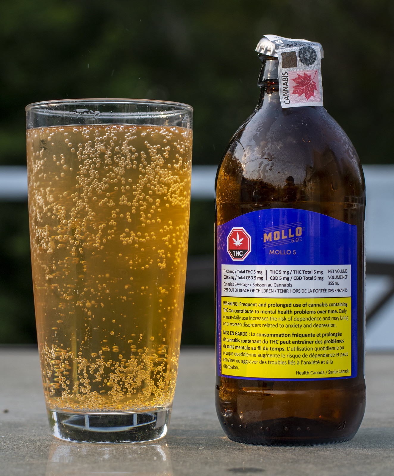 Review: Mollo 5 Cannabis Beer (non-alcoholic) - BeerCrank.ca