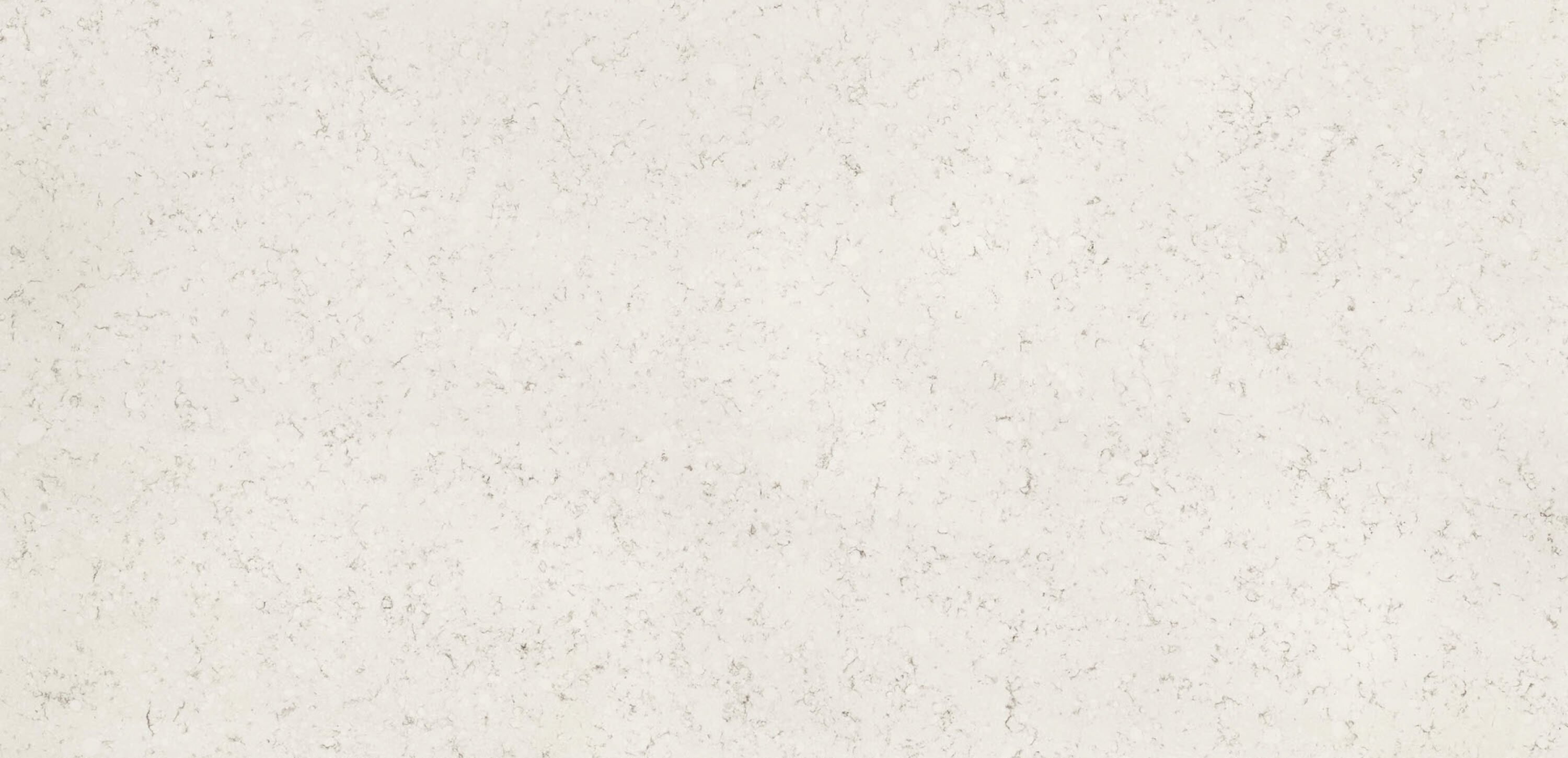 Brava Marfil slab
