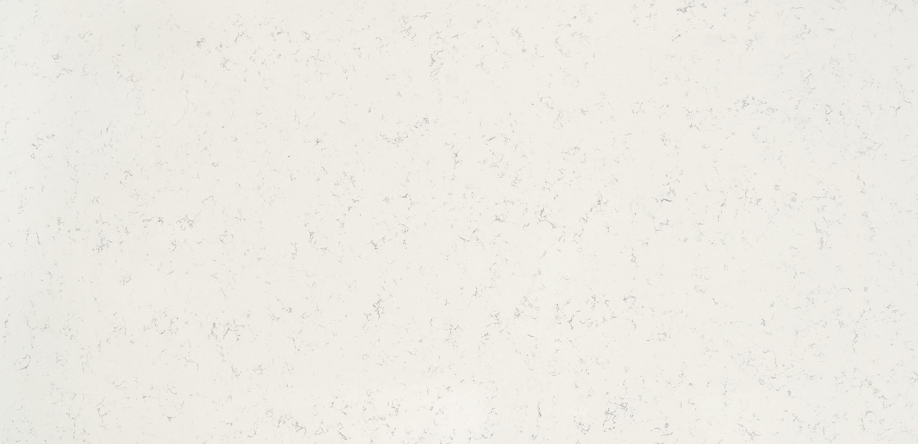 Whistler slab
