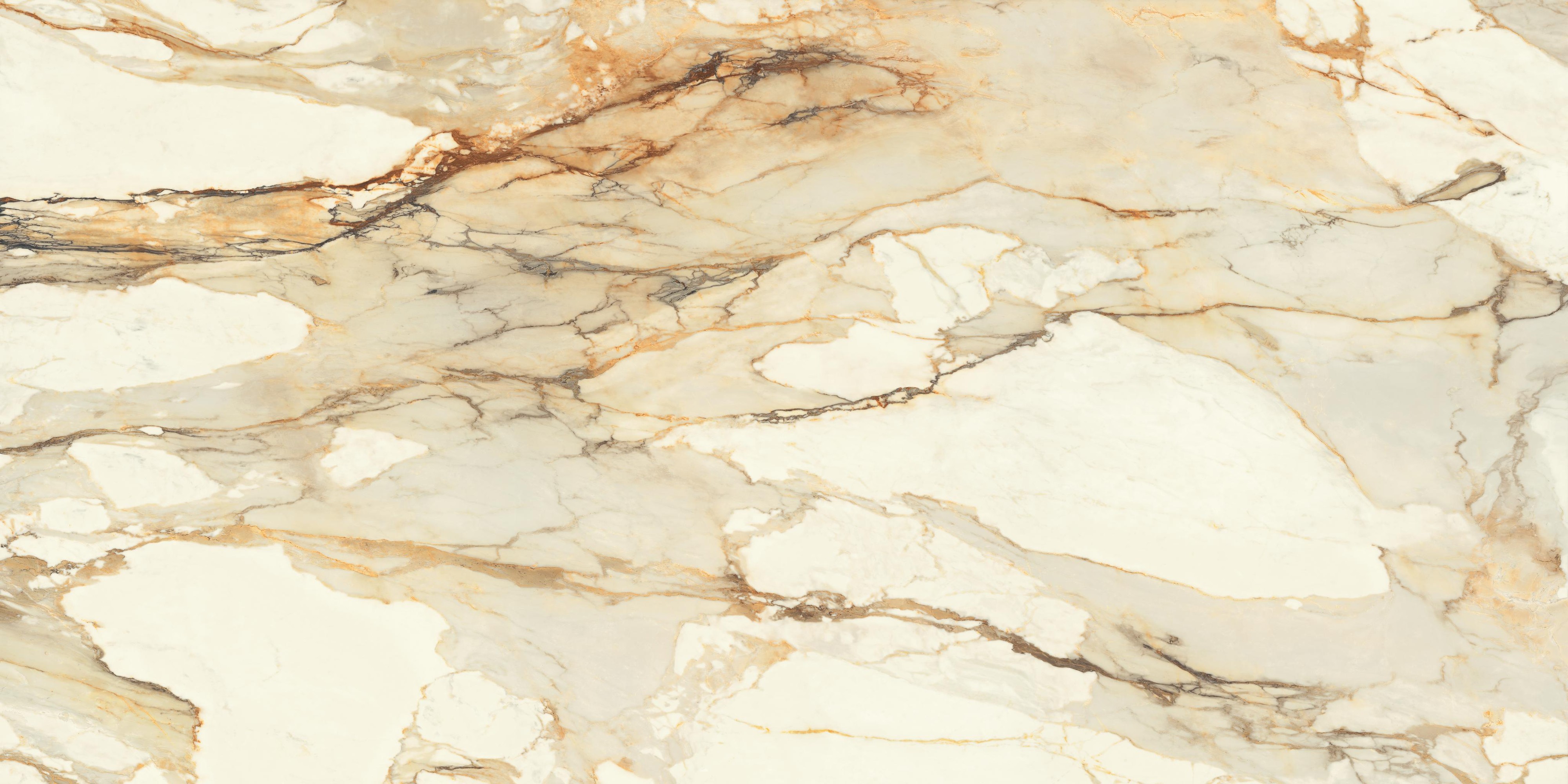 Calacatta Macchia Antique slab