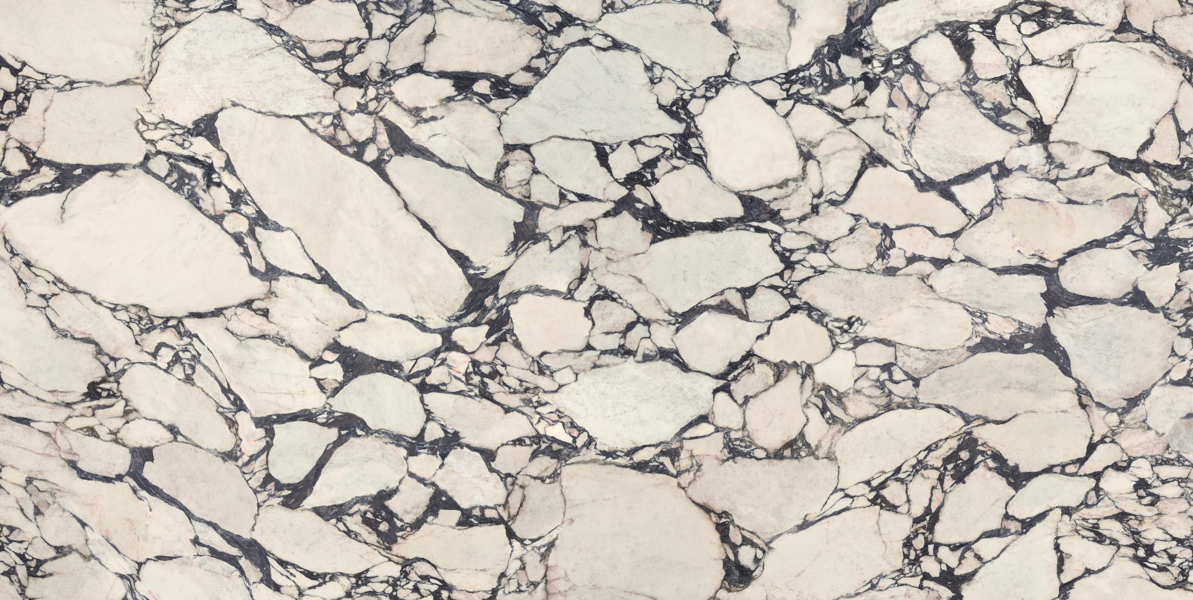 Calacatta Viola slab