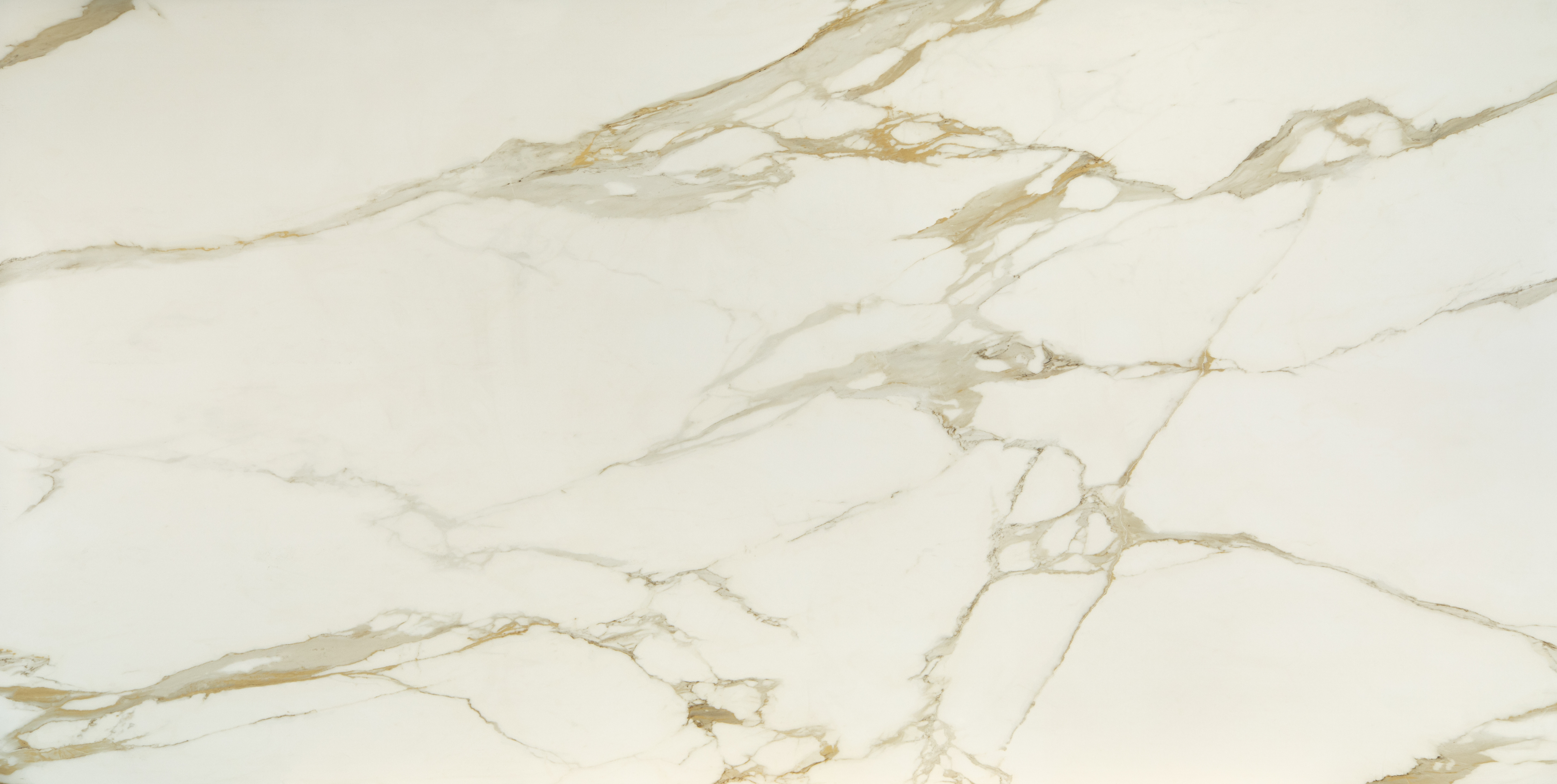 Calacatta Solara slab