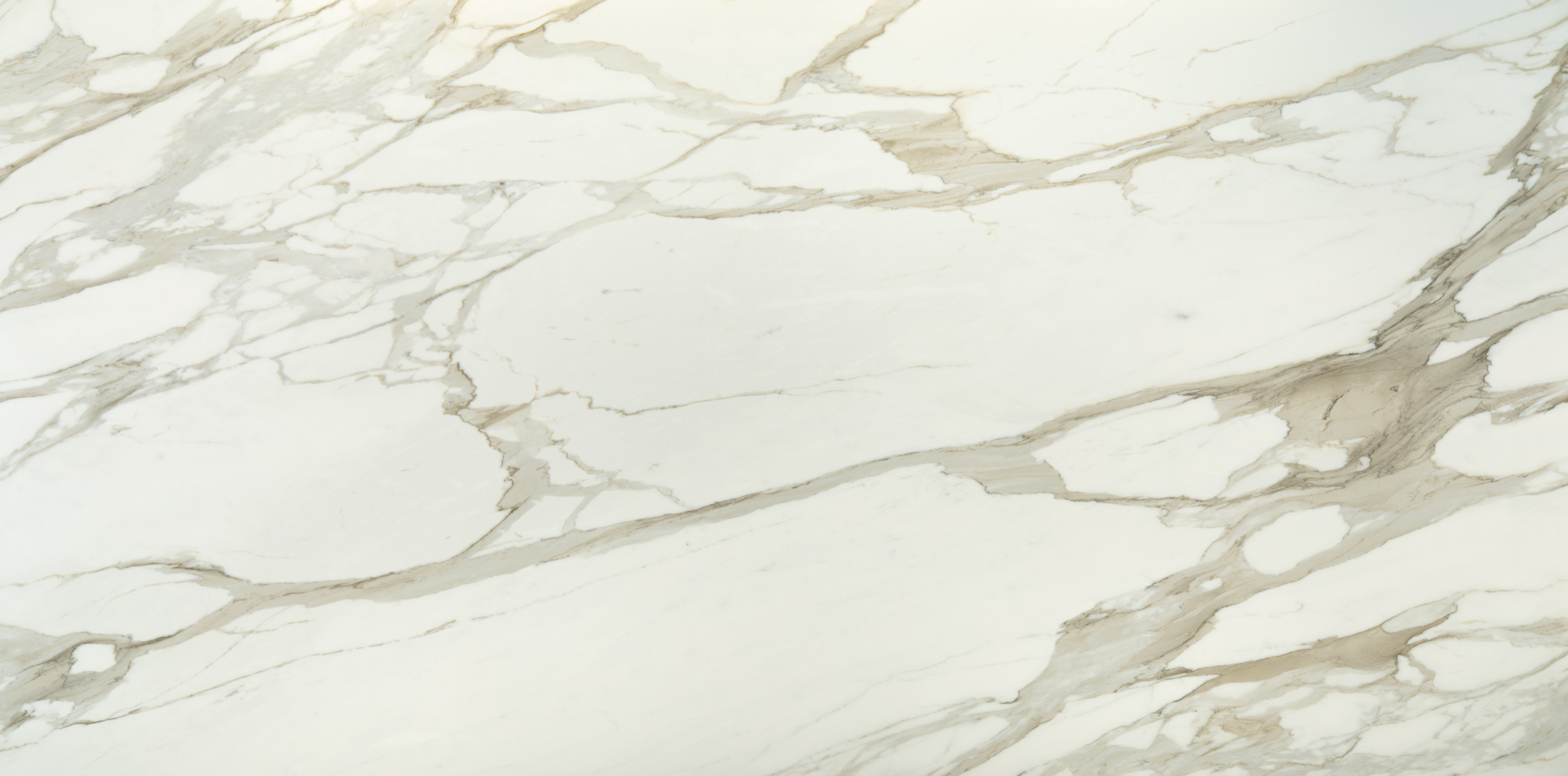 Calacatta Prema slab