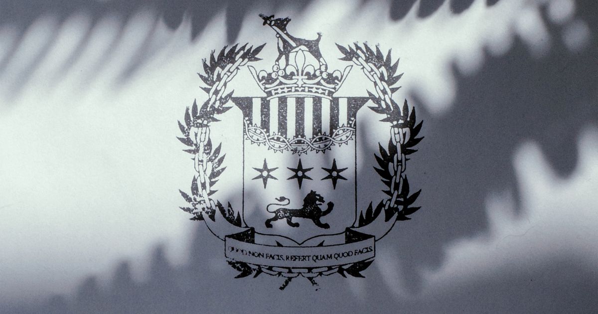We became heraldry scholars | Collection