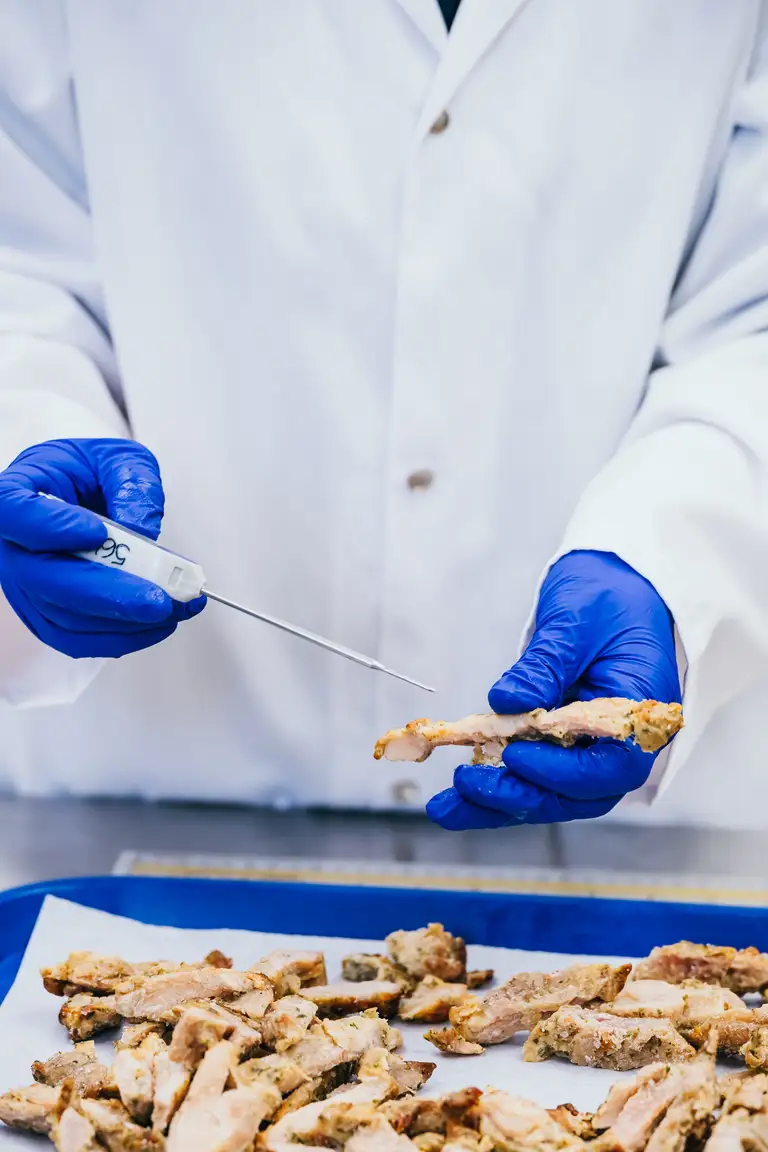 Une personne vêtue d'une blouse blanche et de gants bleus teste la température de lanières de poulet cuites à l'aide d'un thermomètre sur un plateau.