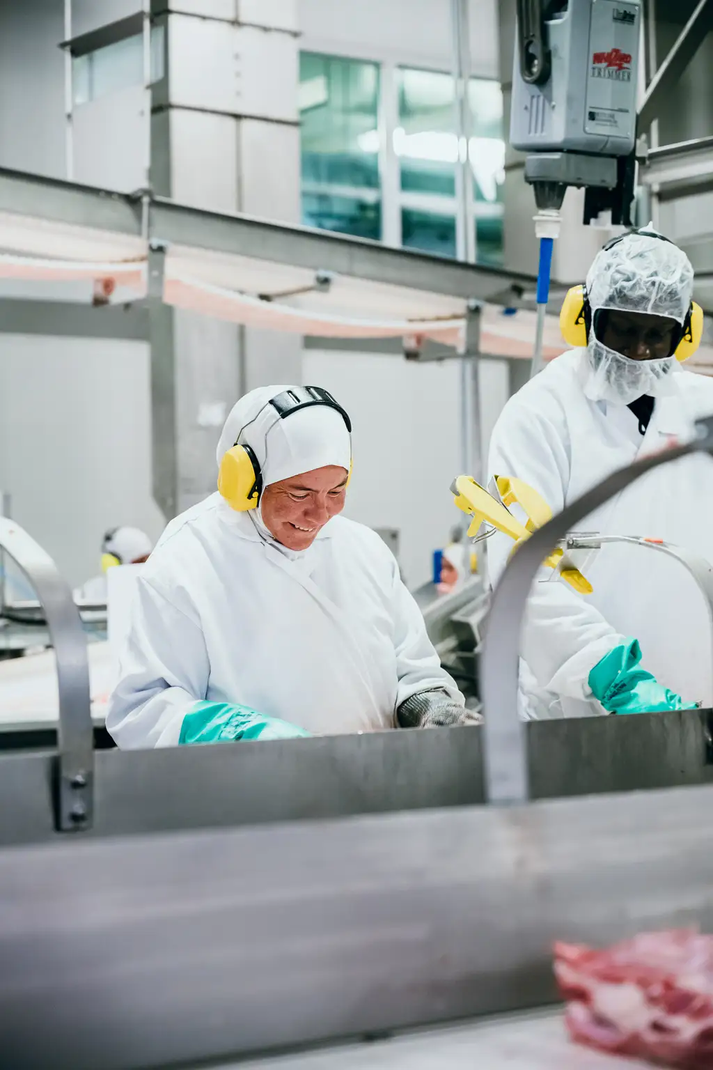 Deux ouvriers vêtus de vêtements de protection et équipés de protections auditives travaillent dans une usine de transformation de viande, manipulant des équipements et de la viande sur une chaîne de production.
