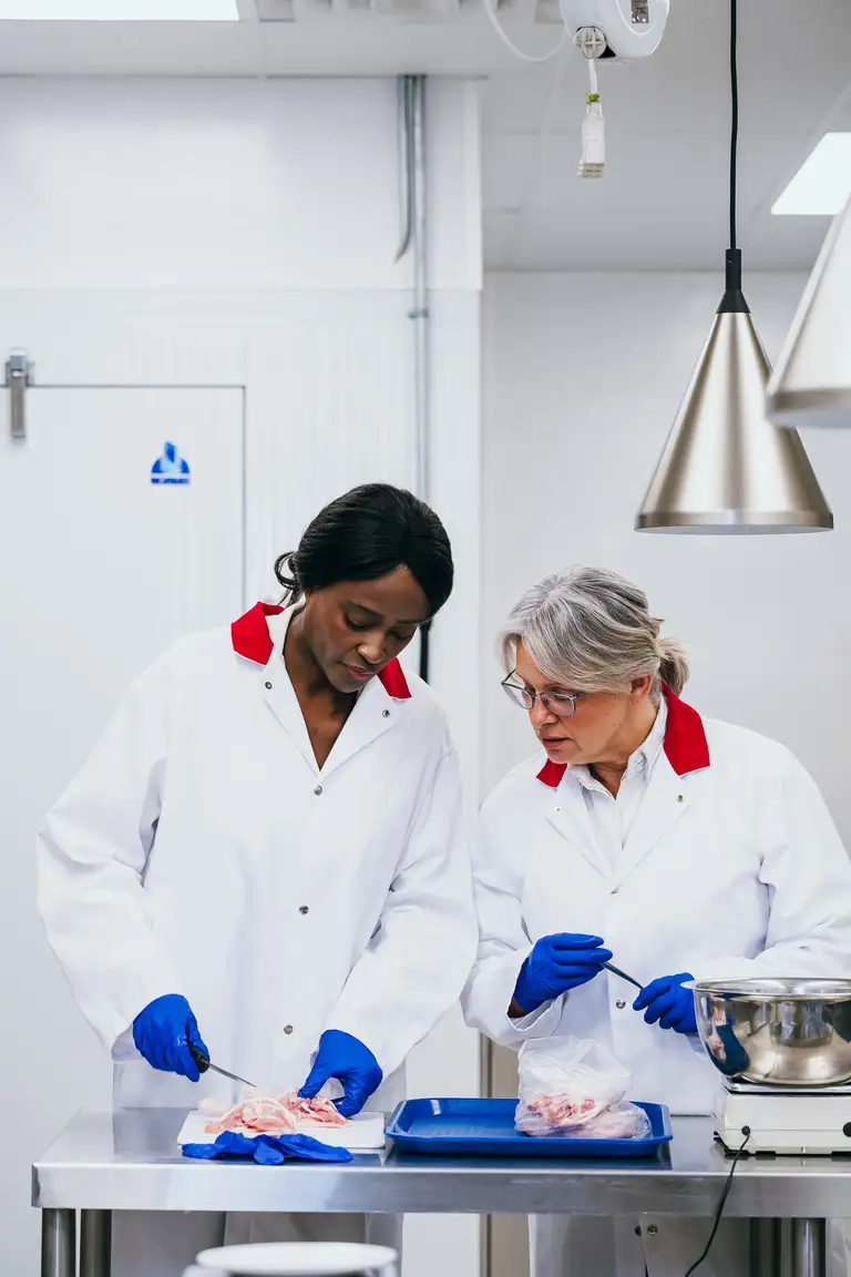 Deux scientifiques en blouses de laboratoire blanches et gants bleus examinent des échantillons dans un laboratoire, avec de l’équipement en acier inoxydable en arrière-plan.