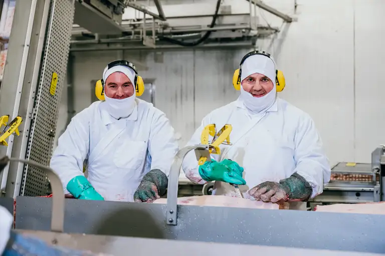 Deux ouvriers vêtus de combinaisons de protection blanches et équipés de casques antibruit jaunes manipulent de la viande sur une chaîne de production dans un environnement industriel.