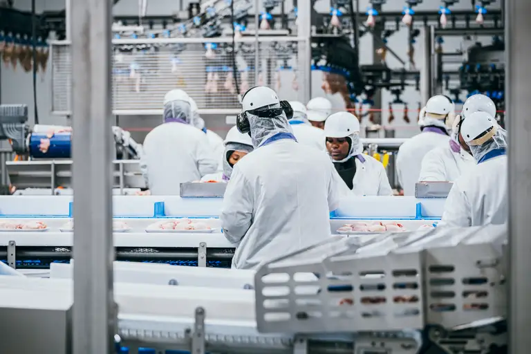 Des ouvriers vêtus de vêtements de protection traitent la volaille sur une chaîne de montage dans une usine, entourés de machines et d'équipements.