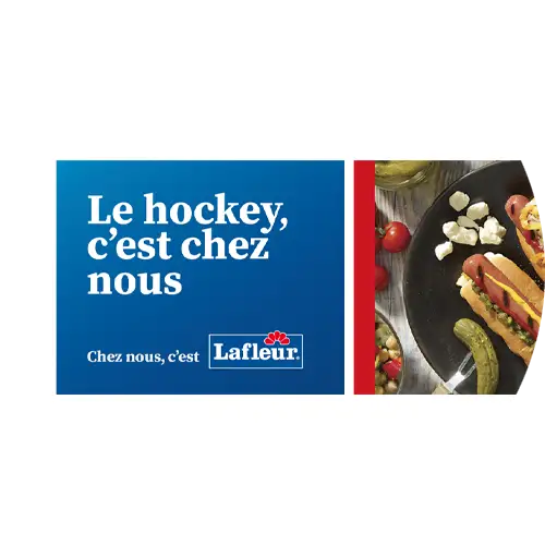 20 ans de hockey avec Lafleur