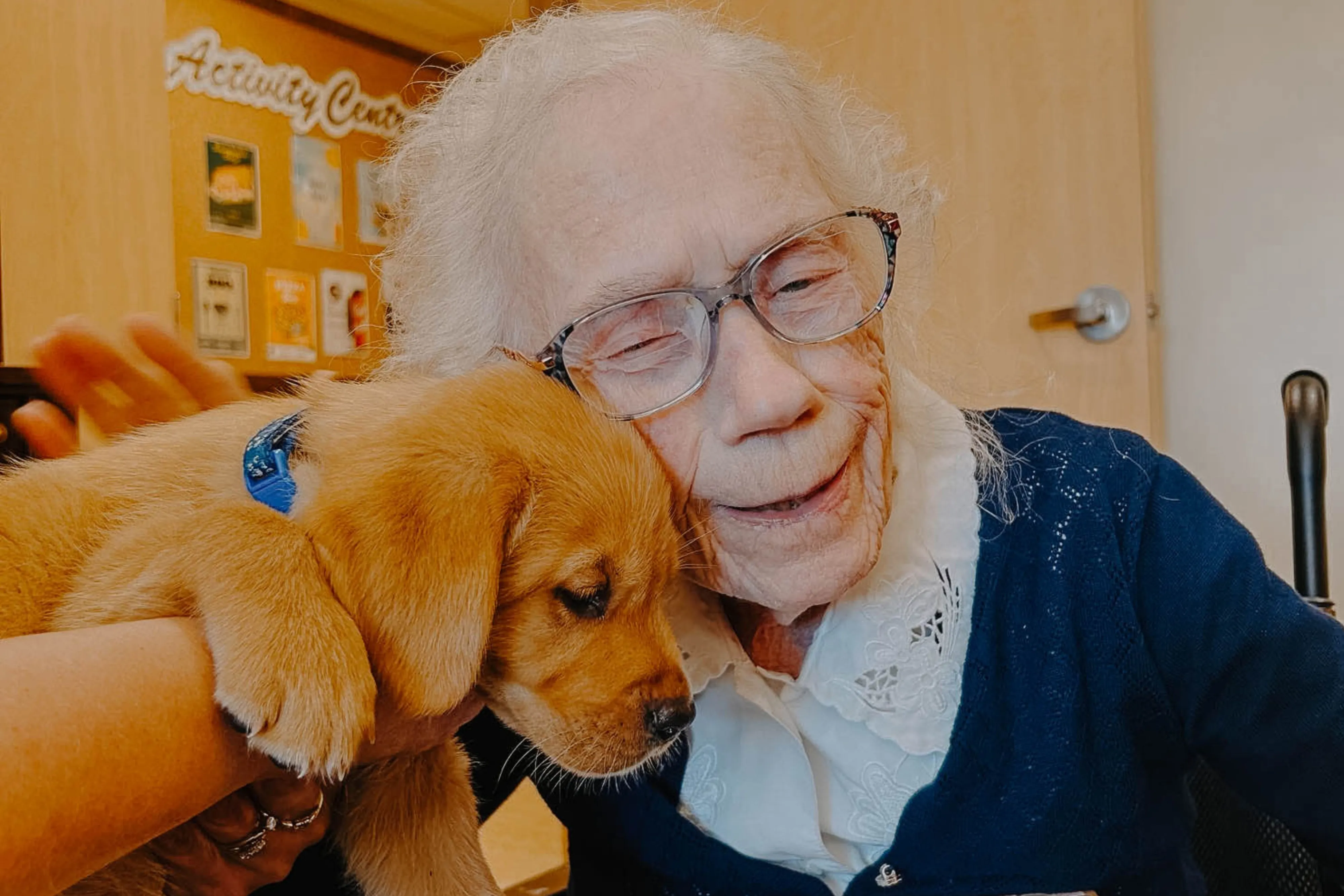 An elderly woman with glasses joyfully cuddles a small brown puppy with a blue collar against her cheek in a cozy room.