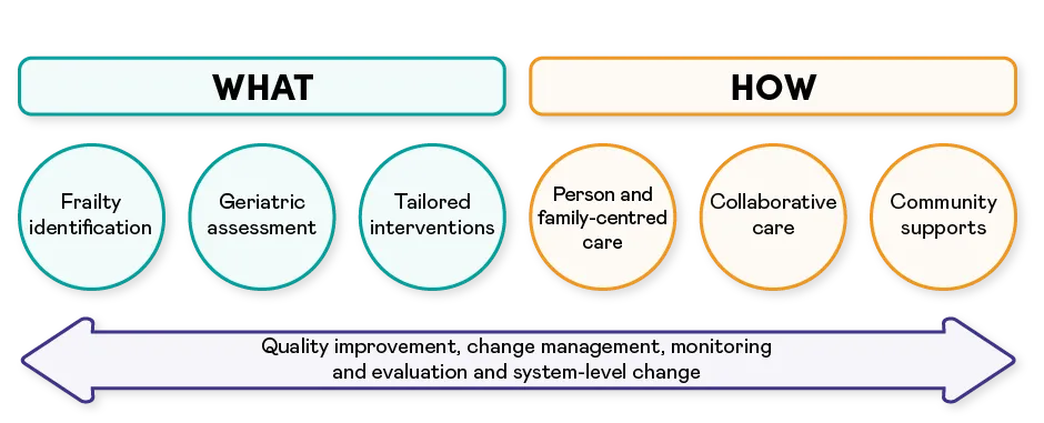 Infographic on the AFCC approach: WHAT: Frailty identification, Geriatric Assessment, Tailored Interventions. HOW: Person and Family-Centred Care, Collaborative Care, Community Supports. In an arrow spanning under the What and How are the following words: Quality Improvement, Change Management, Monitoring and Evaluation and System Level Change.